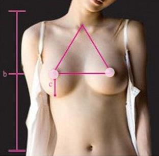 胸圍怎么算?你的胸圍是否標準?女人完美乳房標準詳細圖解