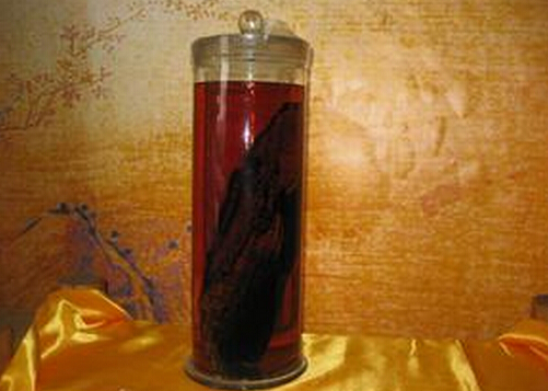 陽痿患者喝什么藥酒?男人的養腎藥酒