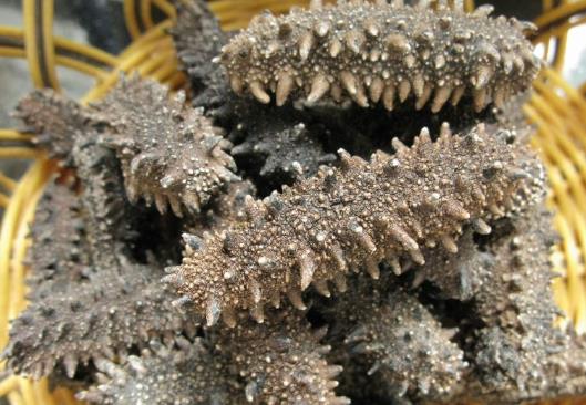 干海參怎么保存？干海參的保存方法