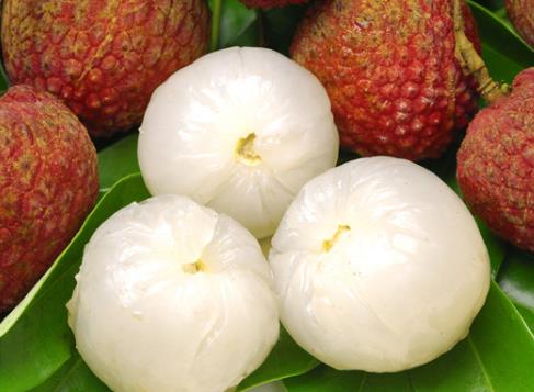 荔枝如何保存?荔枝保鮮方法