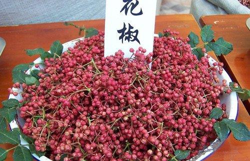 如何識別有毒花椒?毒花椒的鑒別方法