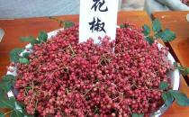如何識別有毒花椒？毒花椒的鑒別方法