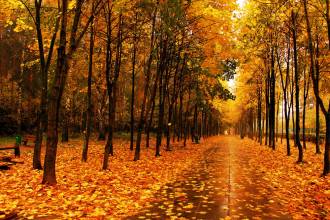 “多事之秋”，起居有學(xué)問，降溫有竅門