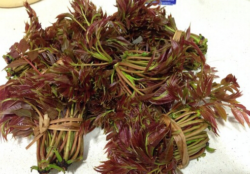 香椿炒雞蛋的做法-香椿炒雞蛋怎么做？