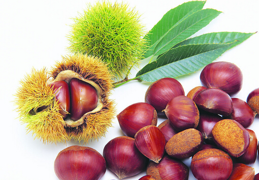 板栗怎么去皮?板栗的吃法