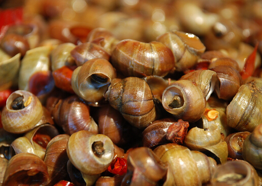 怎樣洗田螺肉?怎樣做田螺肉