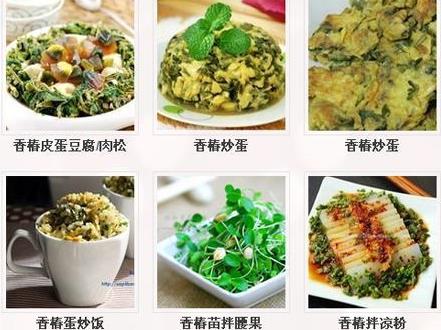 香椿怎么做好吃？香椿的做法