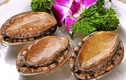 鮑魚怎么做好吃?鮑魚怎么吃最好