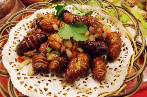 蠶蛹怎么做好吃?蠶蛹的做法