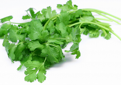 香菜爆里脊怎么做?吃香菜的好處