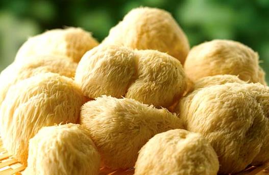 如何泡發(fā)猴頭菇?猴頭菇的泡發(fā)小竅門