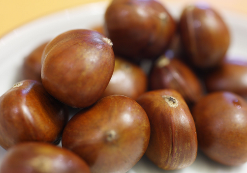 孕婦能吃板栗嗎?板栗的營養價值