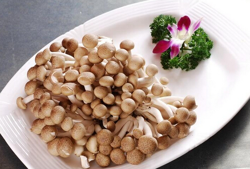 寶寶能吃蟹味菇嗎？怎樣吃蟹味菇才安全