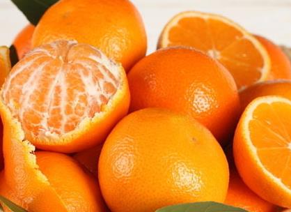 寶寶能吃橘子嗎?寶寶桔子吃多了會上火嗎