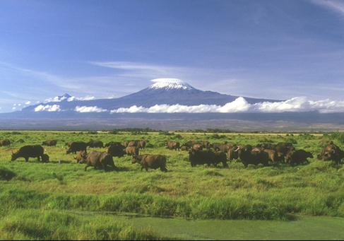 世界上最大的高原是什么？巴西高原的氣候特征