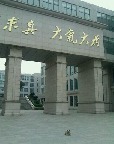 “學霸狗”電子科技大學蹭課走紅,最愛英語和概率網友力挺讀研