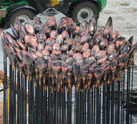 倫敦奧運(yùn)圣火熄滅:奧運(yùn)主火炬居然熄滅了8小時(shí)