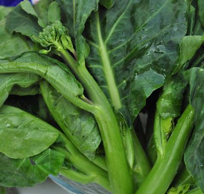 孕婦能吃芥藍嗎?孕婦吃芥藍的食用禁忌