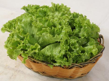 孕婦吃生菜有什么好處?孕婦吃生菜的做法