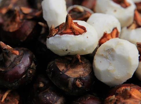 孕婦可以吃荸薺嗎?孕婦能不能吃荸薺