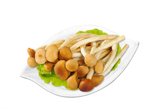 產(chǎn)婦能吃茶樹菇嗎-產(chǎn)婦吃茶樹菇的禁忌