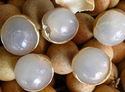 產(chǎn)婦能吃桂圓嗎?產(chǎn)婦吃桂圓的做法