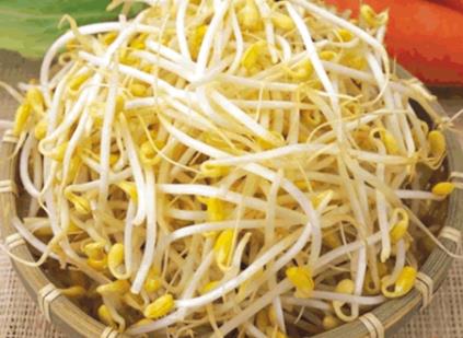 哺乳期吃黃豆芽有什么好處?哺乳期吃黃豆芽的做法