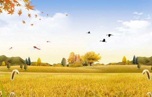 秋季吃什么減肥效果最好？