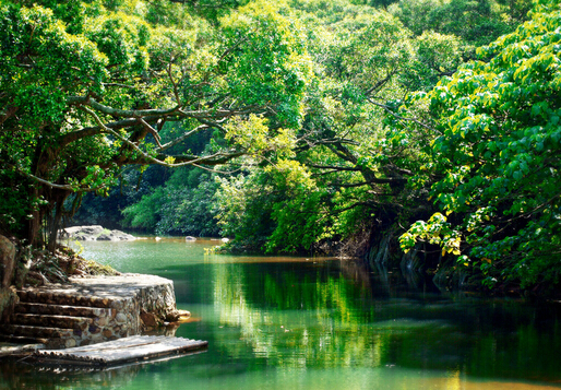 春季傳染病有哪些？怎樣預防春季傳染病