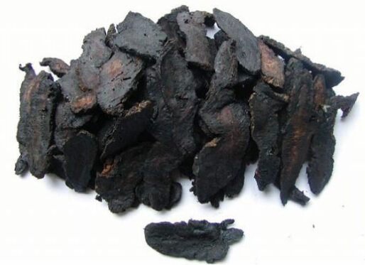 熟地黃的功效與作用-熟地黃是什么?