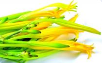 孕婦能吃黃花菜嗎？魚腥草對(duì)孕婦好嗎？