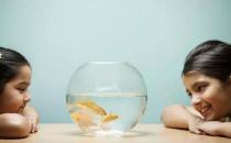 孩子愛搗蛋？父母不能給孩子太多規矩