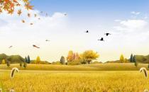 秋季吃什么減肥效果最好？