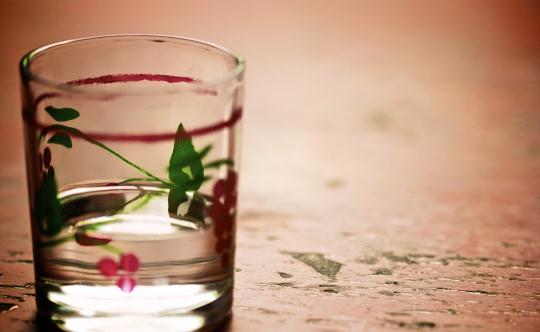 一次性紙杯潛藏致癌物！