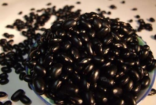 吃什么補腎?春季補腎首選六大黑色食物