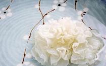 女人吃什么滋陰補陰？四大滋陰補腎的食物