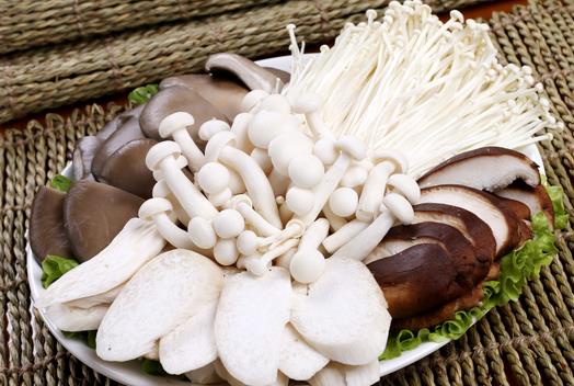 孩子吃食用菌能補腦嗎?孩子吃什么食物補腦