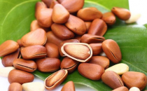 男人長壽吃什么？松子助強身