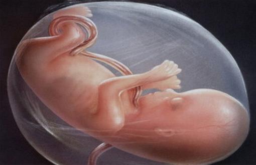 為什么會胎停育? 胎停育如何預防