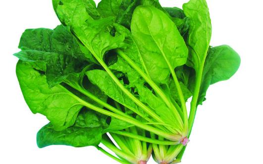 孕婦可以喝飲料嗎?補(bǔ)充營養(yǎng)要吃什么?