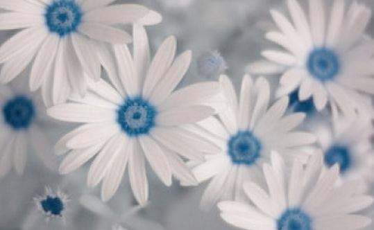 皮膚粗糙毛孔大怎么辦？