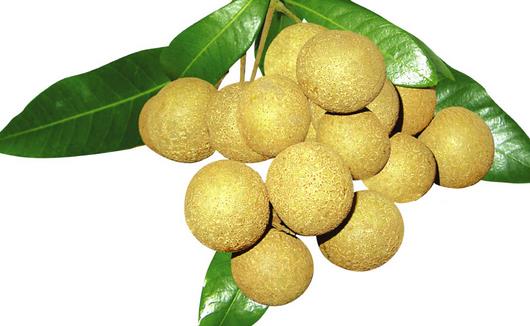 坐月子有哪些常見誤區?