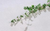 藥妝品有什么功能？用藥妝會(huì)產(chǎn)生抗藥性嗎？