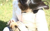 護發食療方：黑豆蜜茶的做法