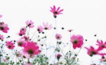 不喝酒才能瘦臉哦！瘦臉需要做什么？