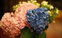 女人怕冷怎么調節？畏寒食譜推薦