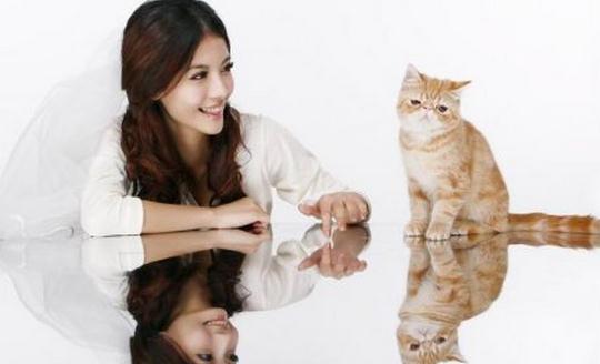 腹部劇痛需要注意了!這些疼痛不能忽視!