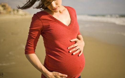 寶寶營養食譜推薦:花鰱魚丸的做法
