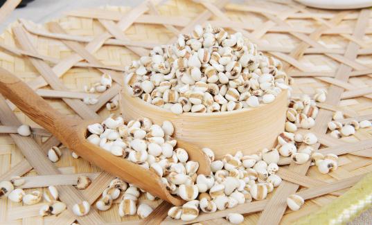 薏米的功效有哪些？薏米怎么吃最好？