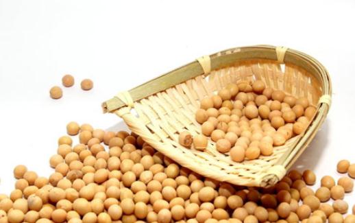 吃黃豆有什么好處?黃豆的蛋白質極高